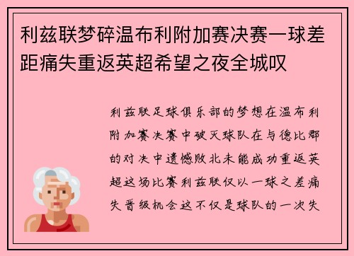 利兹联梦碎温布利附加赛决赛一球差距痛失重返英超希望之夜全城叹